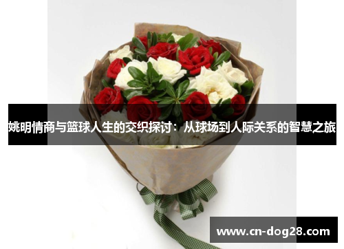 姚明情商与篮球人生的交织探讨：从球场到人际关系的智慧之旅